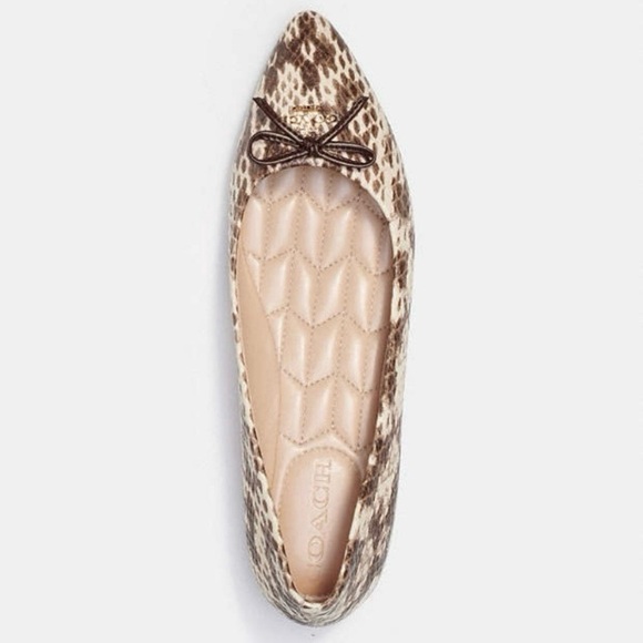 Coach Annabel Snakeskin Pointed Toe Ballet Flats - Picture 4 of 16